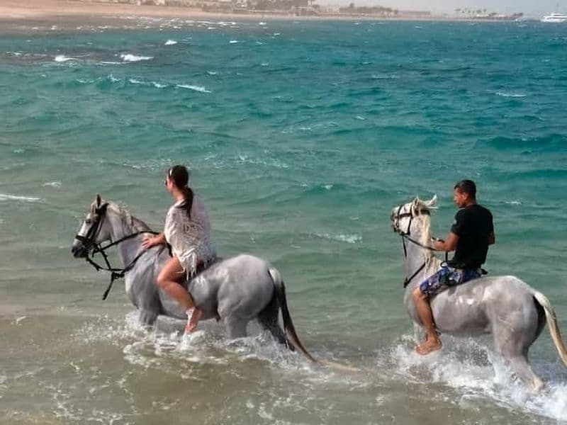 El Gouna : Randonnée à cheval dans le désert et la mer avec baignade en option
