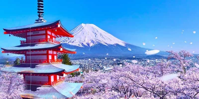 Tokyo : visite en bus du mont Fuji, du lac Kawaguchi et d'Oshino Hakkai