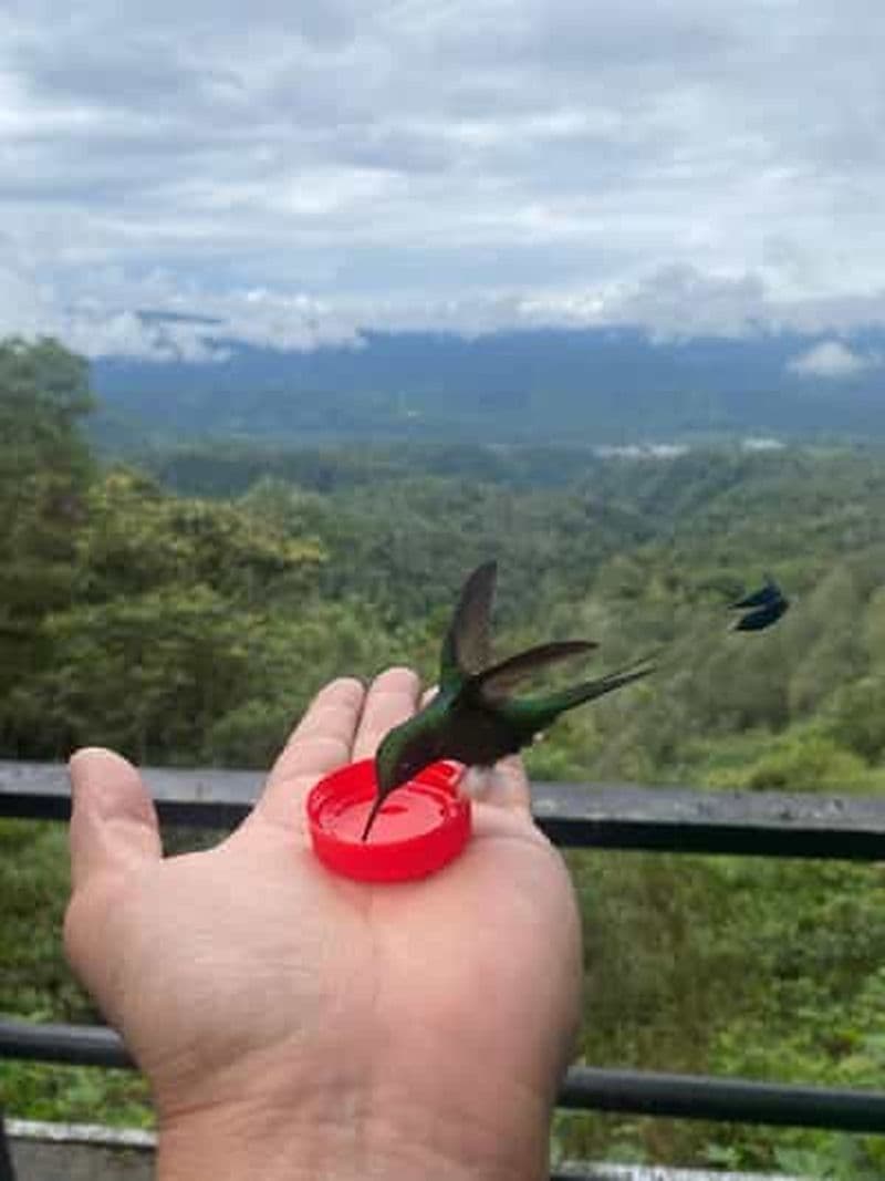 Billet Depuis Quito : Excursion d'une journée dans la forêt de nuages de Mindo avec transfert