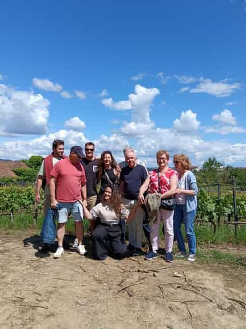 Porto : visite de la vallée du Douro avec 2 caves, déjeuner et croisière