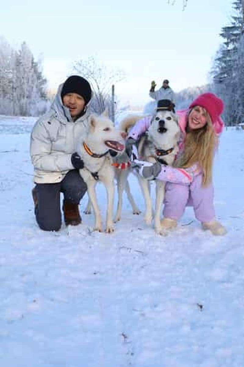 Billet Lappeenranta : visite d'une ferme de huskies, promenade en traîneau et tipi
