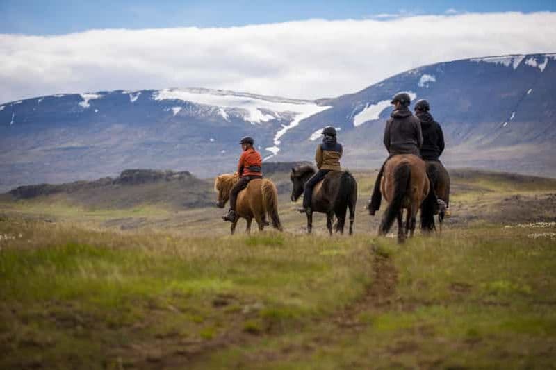Billet Varmahlid : Randonnée à cheval viking