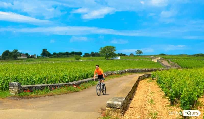 Billet Beaune : Visite des vignobles à vélo avec dégustation de vins