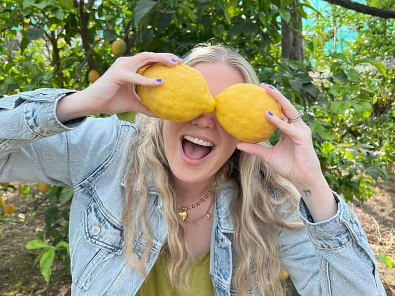 Billet Sorrente : cueillette de citrons et dégustation de limoncello