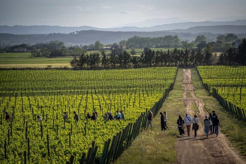 Billet Pals : Visite de la cave Mas Geli avec dégustation de vins