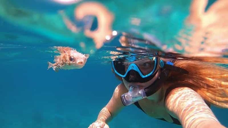 Mascate : excursion de plongée avec tuba et observation des tortues sur l'île de Daymaniyat