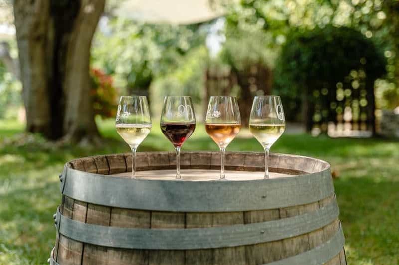 Billet Dégustation de vin, Cannes, Grasse, la parfumerie et plus encore