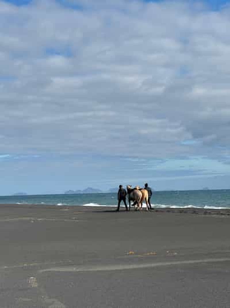 Billet Sud de l'Islande : Randonnée à cheval sur la plage noire