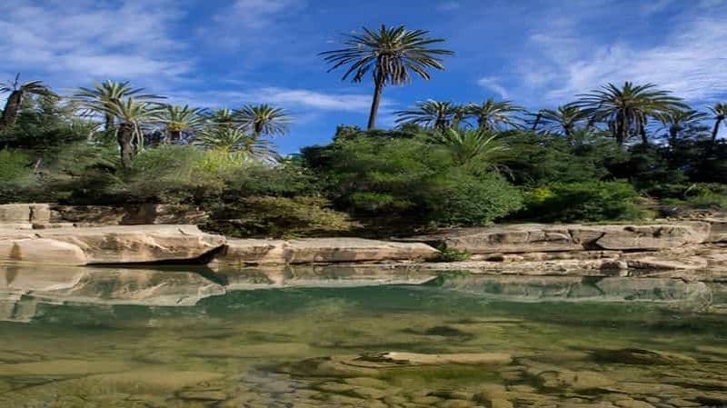 Agadir ou Taghazout : Crocoparc + Monde des dauphins + Billets