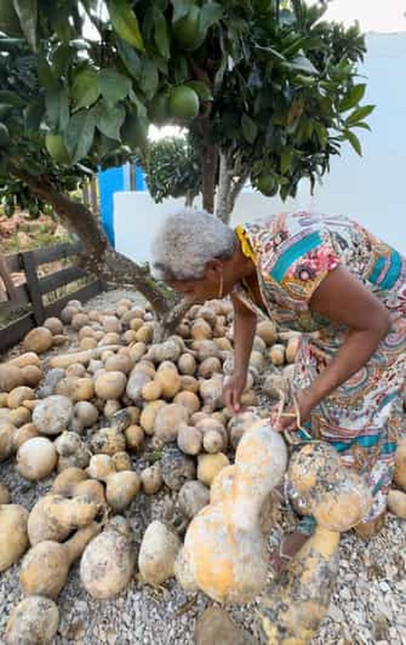 Billet À 20 minutes d'Albufeira : Atelier de fabrication de gourdes