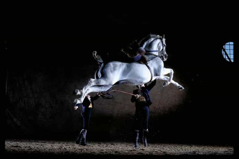 Jerez de la Frontera : danse du cheval andalou et musées