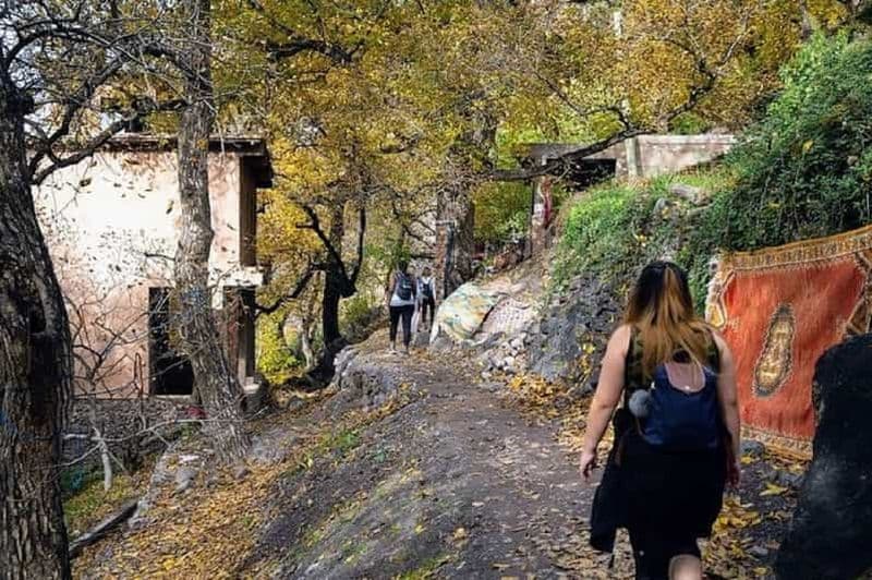 Billet Excursion magique d'une journée dans les montagnes de l'Atlas, incluant une expérience à dos de chameau