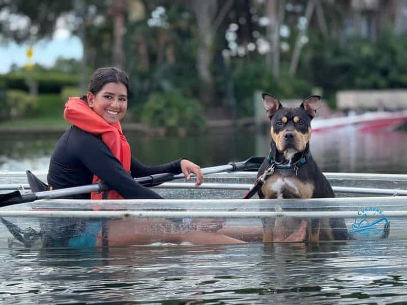 Billet Orlando : Pagayez avec des chiens au paradis - Paddleboard ou Kayak