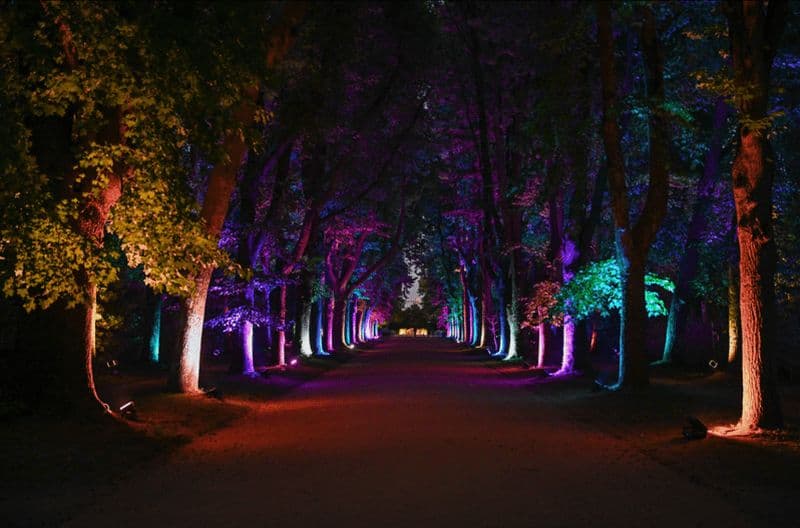 Porto : Serralves Em Luz Immersive Light Show billet d'entrée
