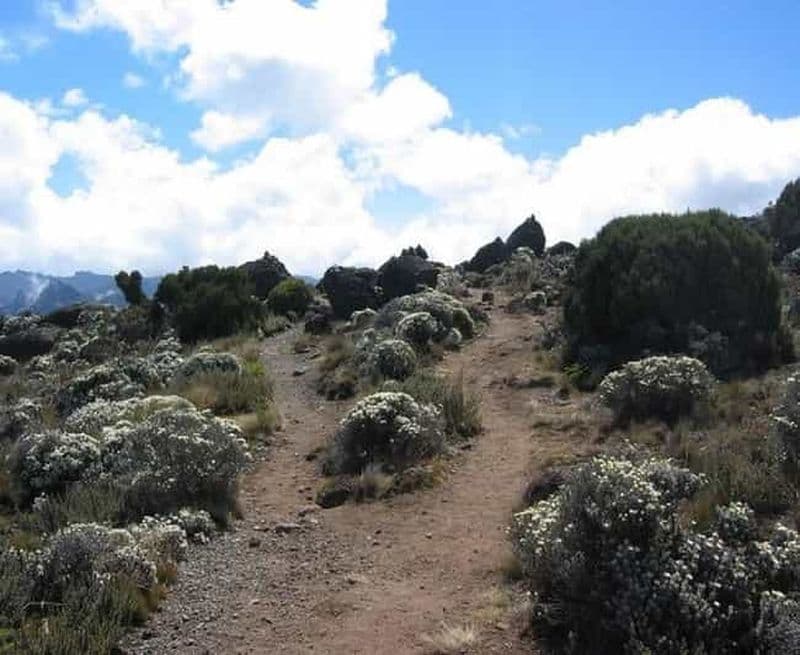Billet Arusha : Trek de 7 jours sur la route Machame du Mont Kilimandjaro