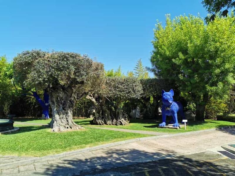 Lisbonne à Setubal pour une dégustation de vins, deux caves, visite d'une demi-journée