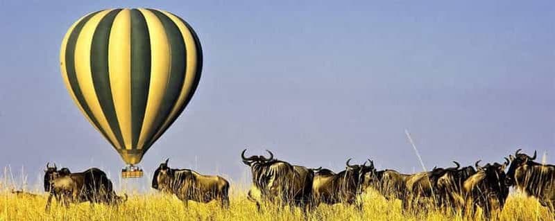 Safari de 3 jours dans le Masai Mara avec vol en montgolfière