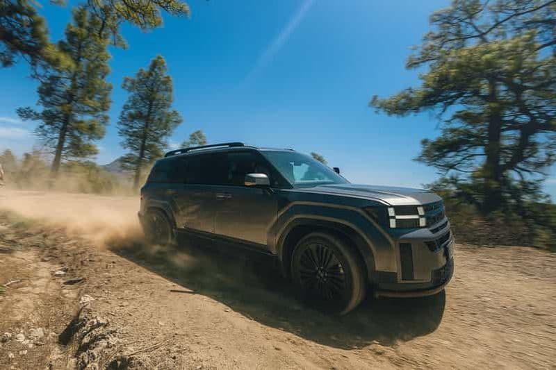 Grande Canarie : safari premium en 4x4 avec guide de la région