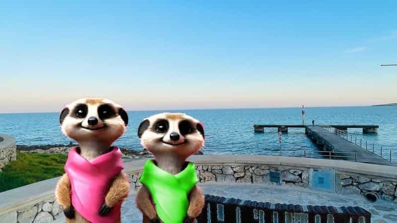 Billet Port de Sóller : Les créatures magiques de Sóller, jeu familial