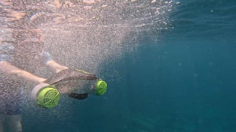 Billet Tenerife : excursion en kayak avec animaux et scooters sous-marins