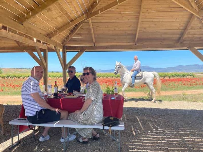 Billet Boutique Rioja Wine Tour avec déjeuner de charme (depuis Bilbao)
