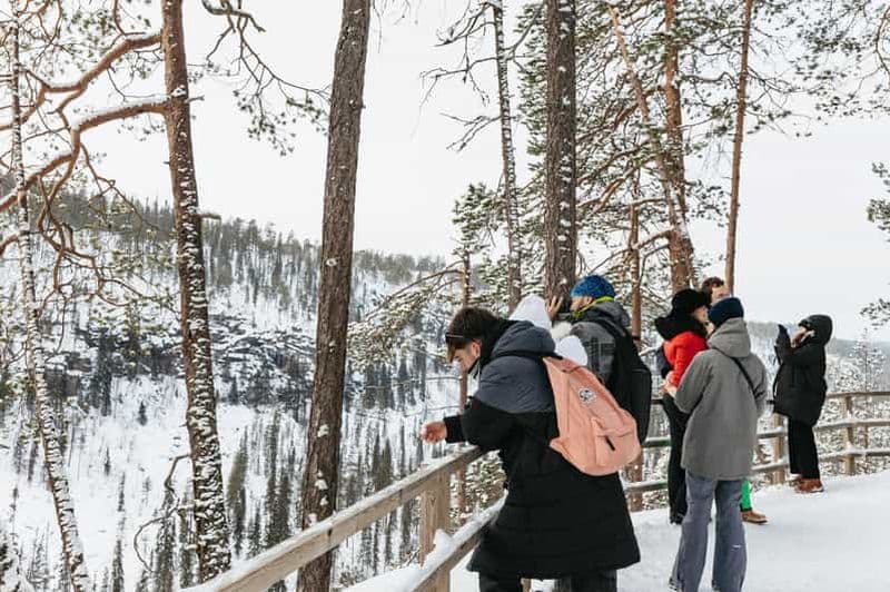 Au départ de Rovaniemi : excursion au canyon de Korouoma et aux chutes d'eau gelées