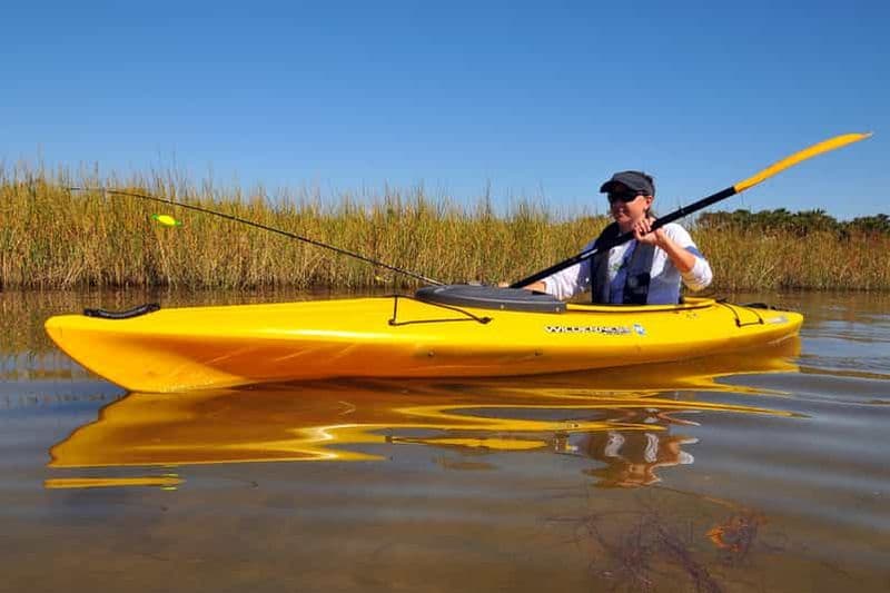 Billet Excursion d'une journée en kayak sur la rivière Wekiva