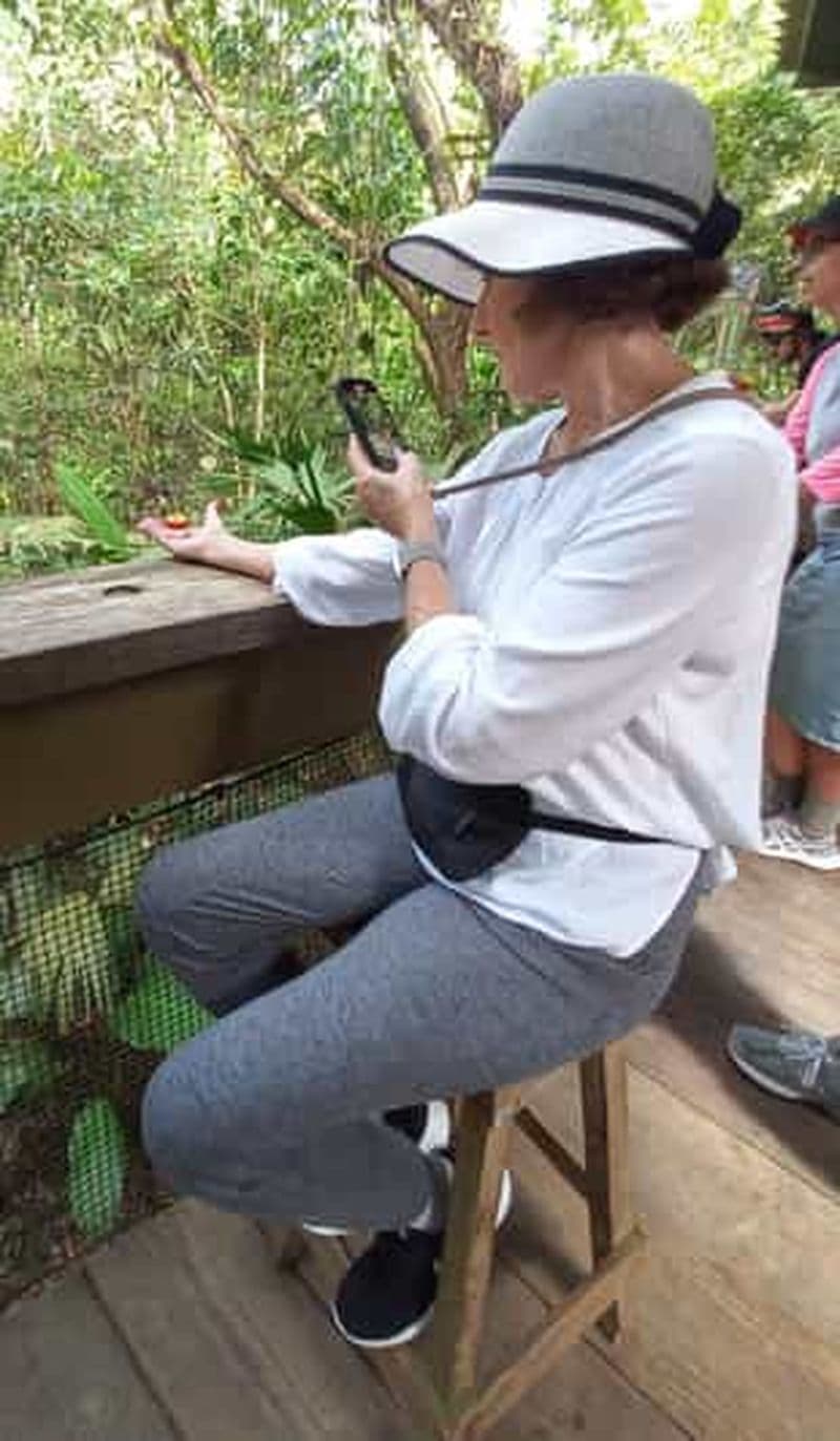 Billet Panama City : Randonnée dans le parc national de Soberania