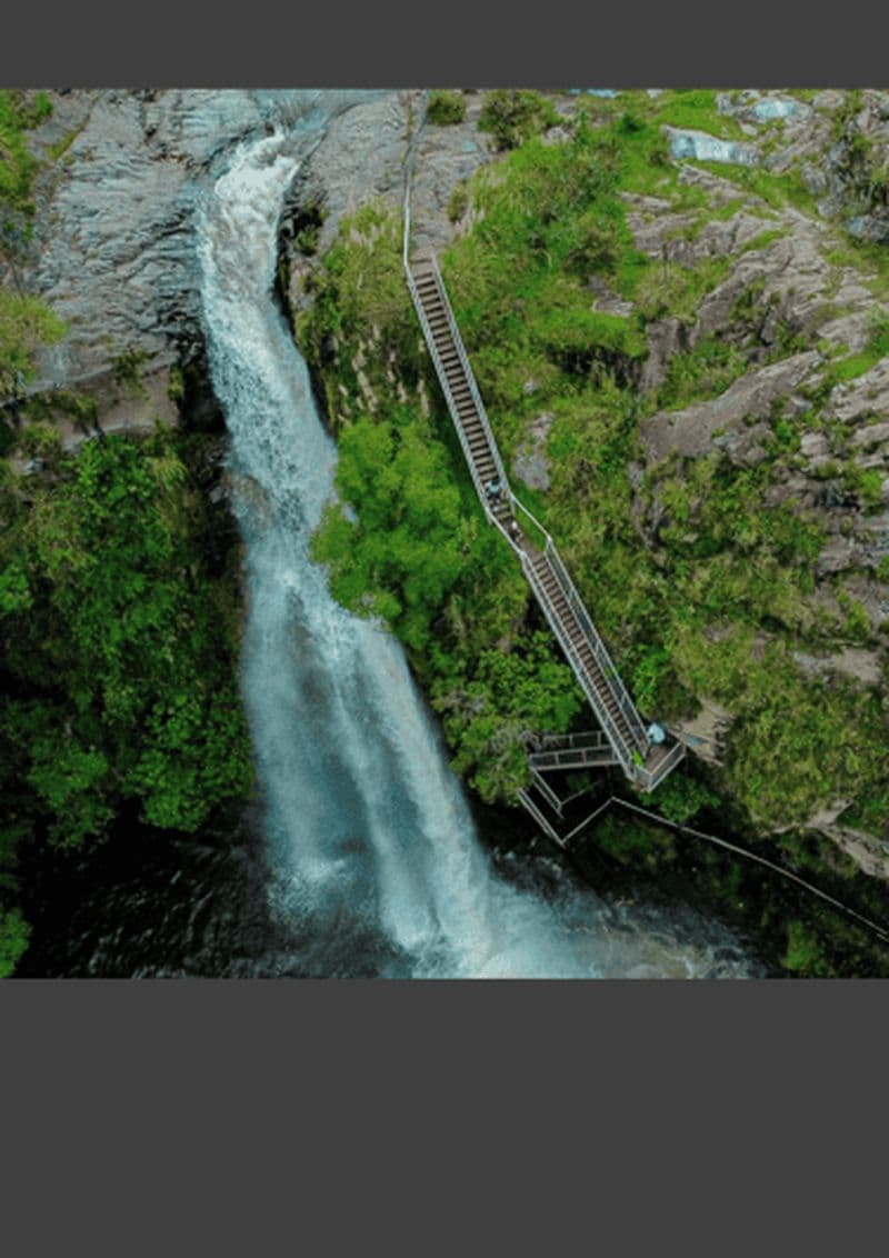 Cascades de Quito : Cascades, équitation, abeilles, canopée