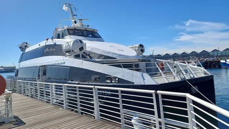 Billet Le Cap : Robben Island, Cap de Bonne Espérance et visite des pingouins