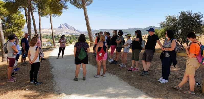 Antequera : visite guidée privée des dolmens