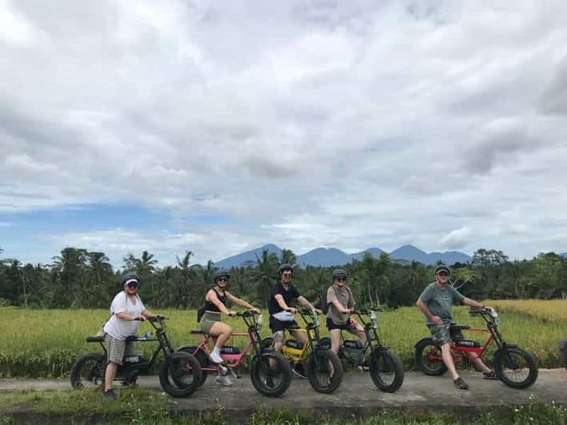 Billet Ubud : Rizières en terrasses et villages : visite d'une demi-journée en E-Bike Fat Tire