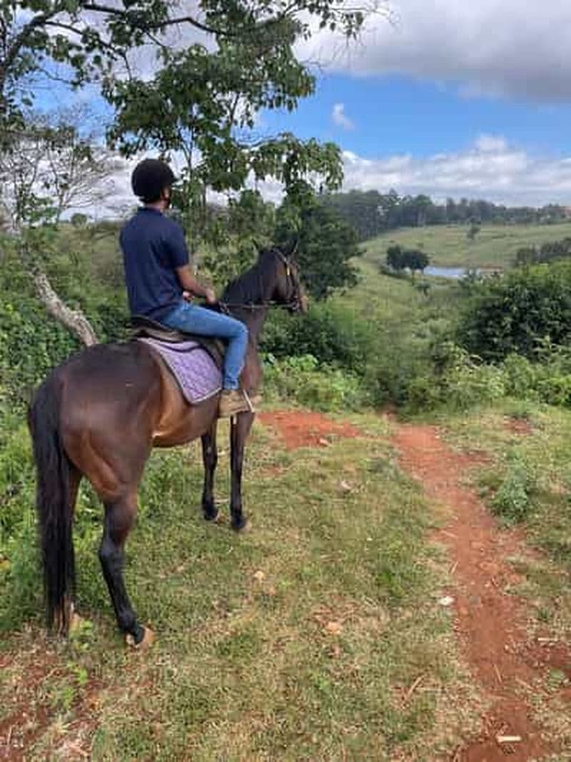 Billet Nairobi : Randonnée à cheval dans la forêt de Karura