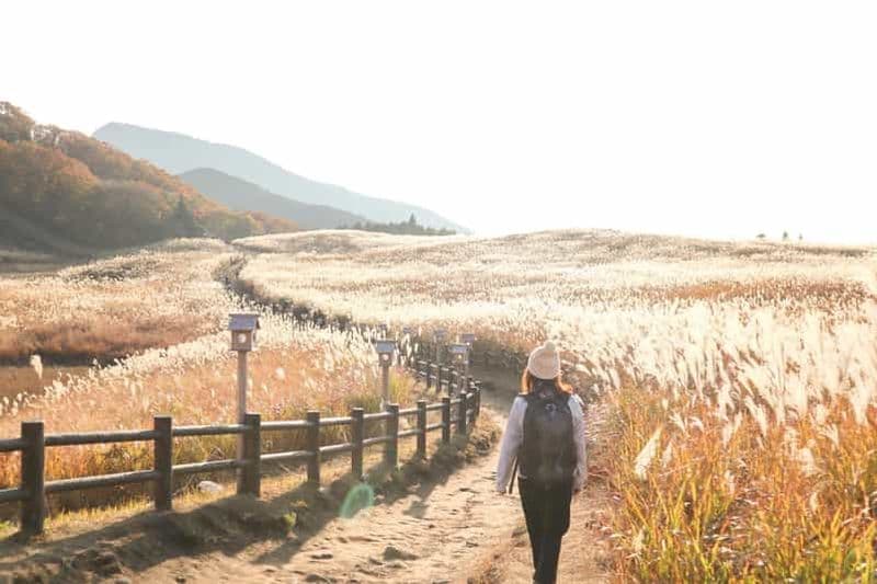 Nagoya : randonnée guidée dans les hautes terres de Soni et les 48 cascades d'Akame