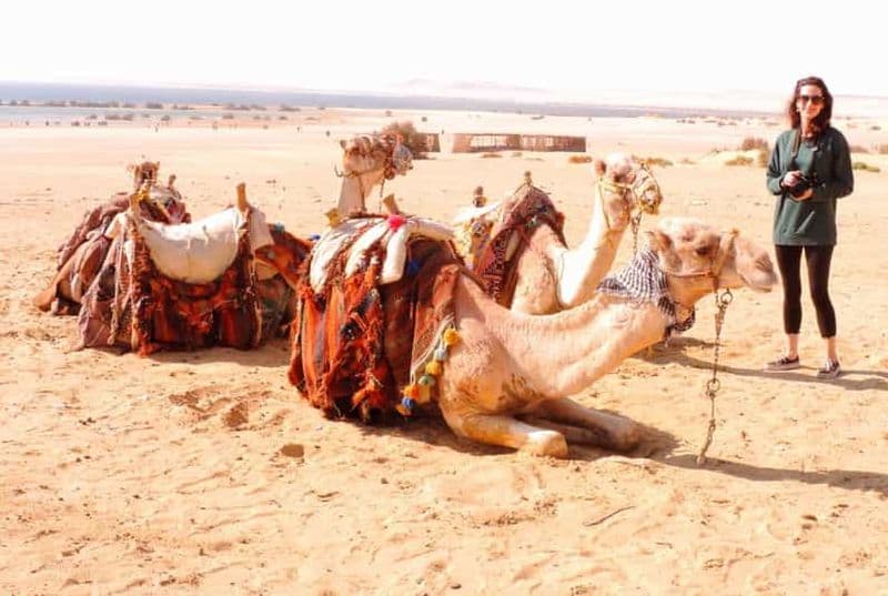 Billet Le Caire : Circuit de 2 jours dans le désert blanc, l'oasis de Bahariya et El-Fayoum