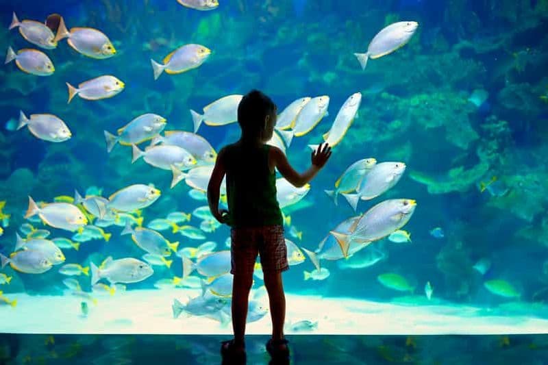 Billets pour le Musée océanographique de Monaco