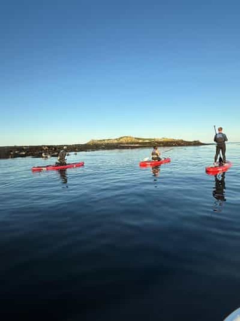 Howth : cours de paddleboard dans le port de Howth
