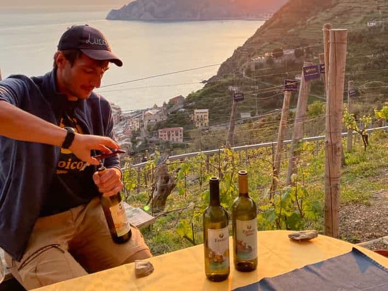 Vernazza : Trekking panoramique dans les vignobles avec dégustation de vin