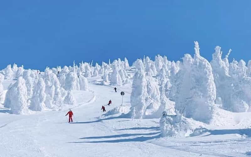Tokyo : Ginzan & Zao Onsen Ski & Equipment rental 2-Day Tour