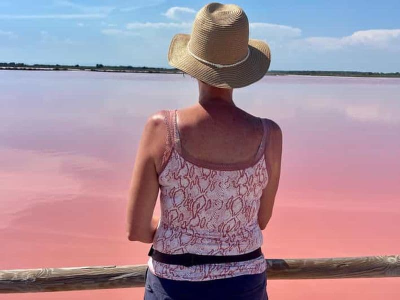 Billet Au départ de Montpellier : Visite guidée de la Camargue et des marais salants