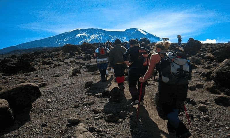 Billet ASCENSION DU MONT KILIMANDJARO PAR LA VOIE LEMOSHO 8 JOURS