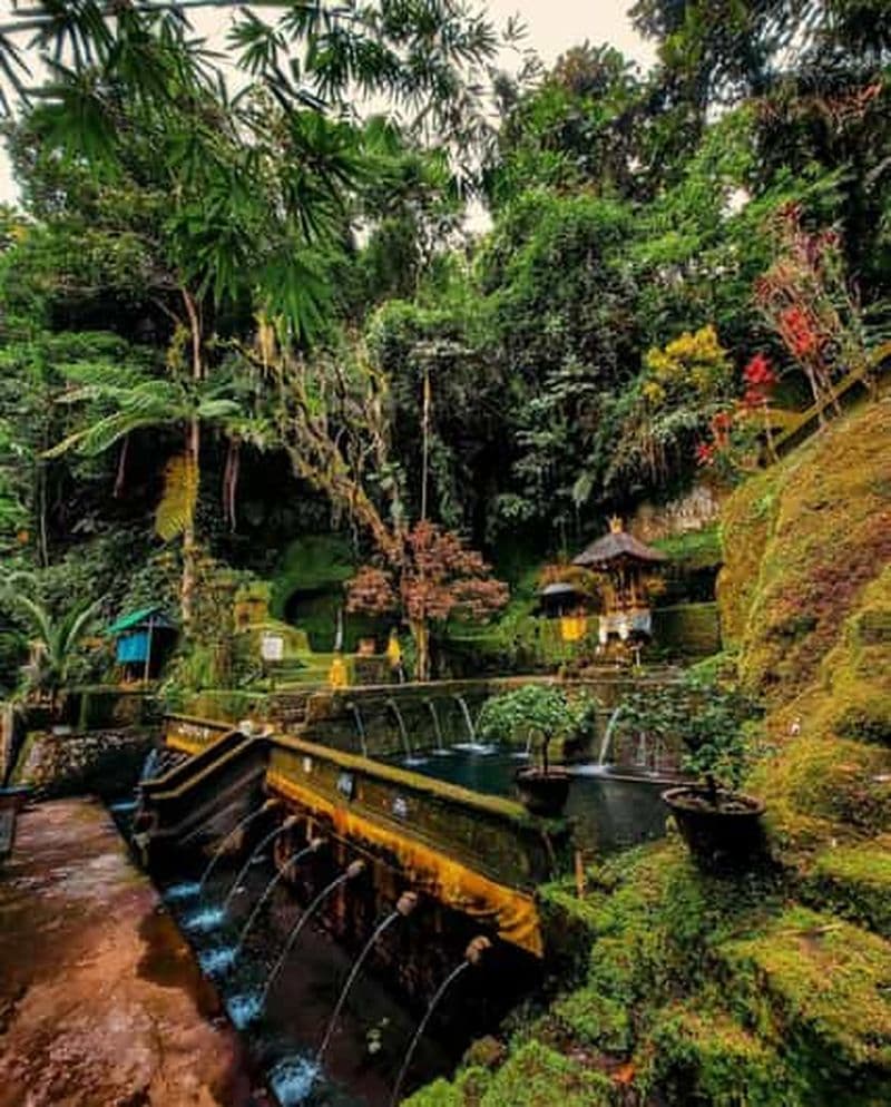 Billet Ubud : temple de Telaga Waja, cascades et rizières de Mancingan