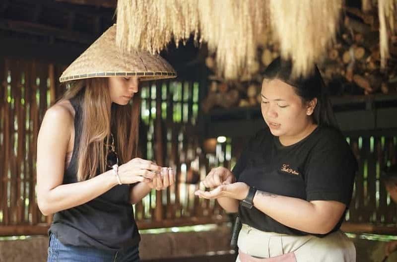 Billet Ubud : Bali Pulina Tour avec Swing & Tegallang Rice Terrace