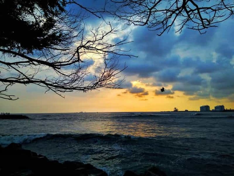 Visite à pied du patrimoine de Fort Kochi avec un guide de la région