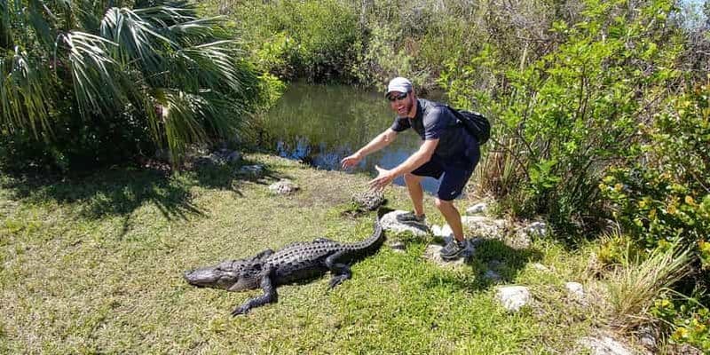 Miami : Promenade en canot pneumatique dans les Everglades et randonnée guidée