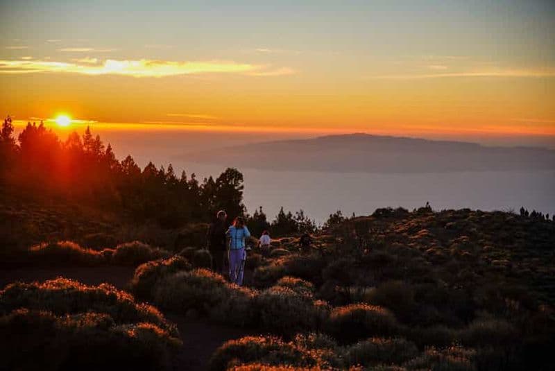 Billet Tenerife : Excursion en buggy au coucher du soleil sur le volcan Teide