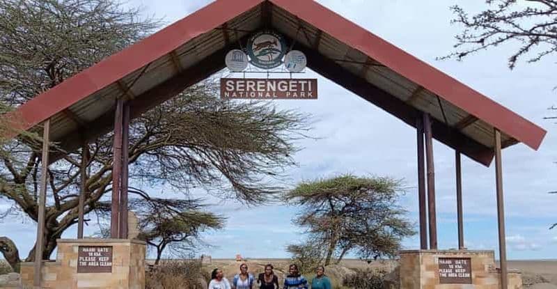 Billet Mwanza : Excursion d'une journée dans le parc national du Serengeti avec déjeuner