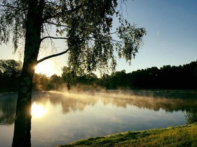 Billet Au départ de Vilnius : Visite du parc Druskininkai et Grutas avec transfert