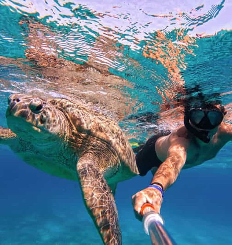 Billet Ruines de Tulum, plongée avec tuba au récif et cénote