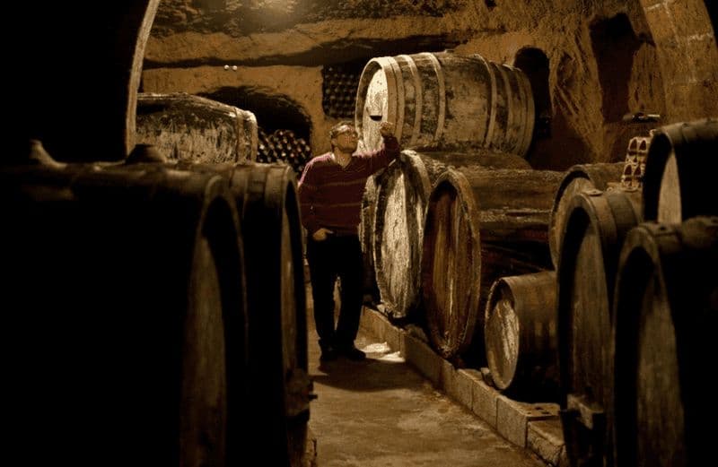 Billet Dégustation de vin avec nourriture et visite de la cave de tuf à Orvieto